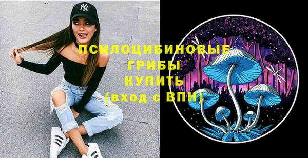 не бодяженный Тобольск