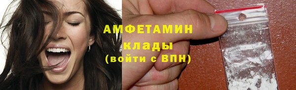 прущие грибы Тихорецк