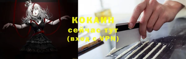 прущие грибы Тихорецк